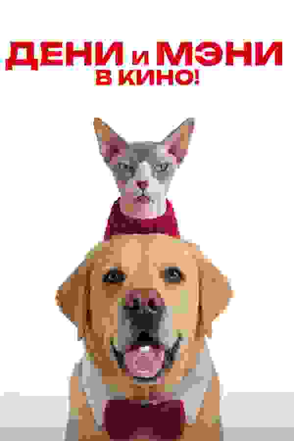 Размытый фон новости